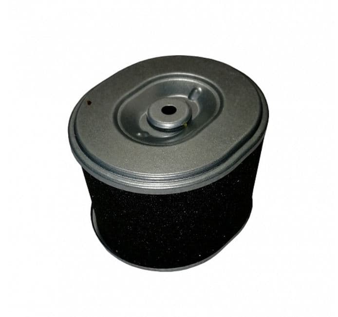 Фильтр воздушный G270F (элемент)/Air filter, element G270F (180100038-0001)