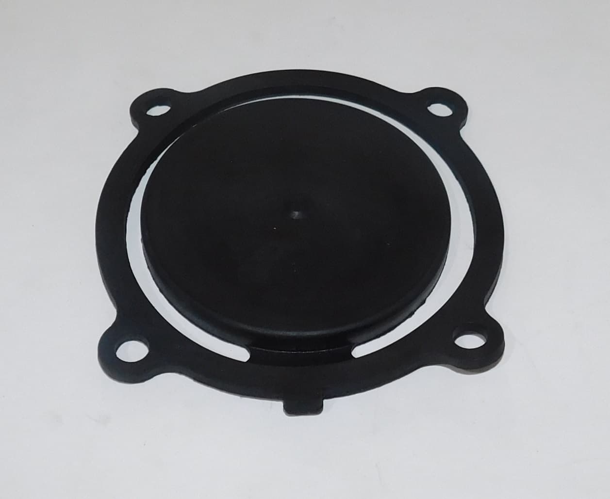 Клапан помпы обратный TSS PDST100E/Check valve PDST100E, №22 (70010-00005-00)