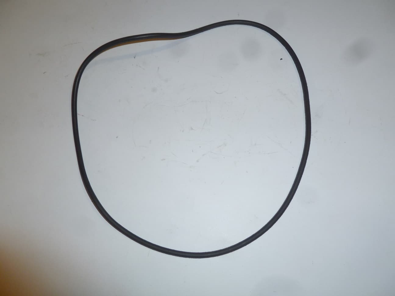Кольцо уплотнительное PGS50/O-ring seal