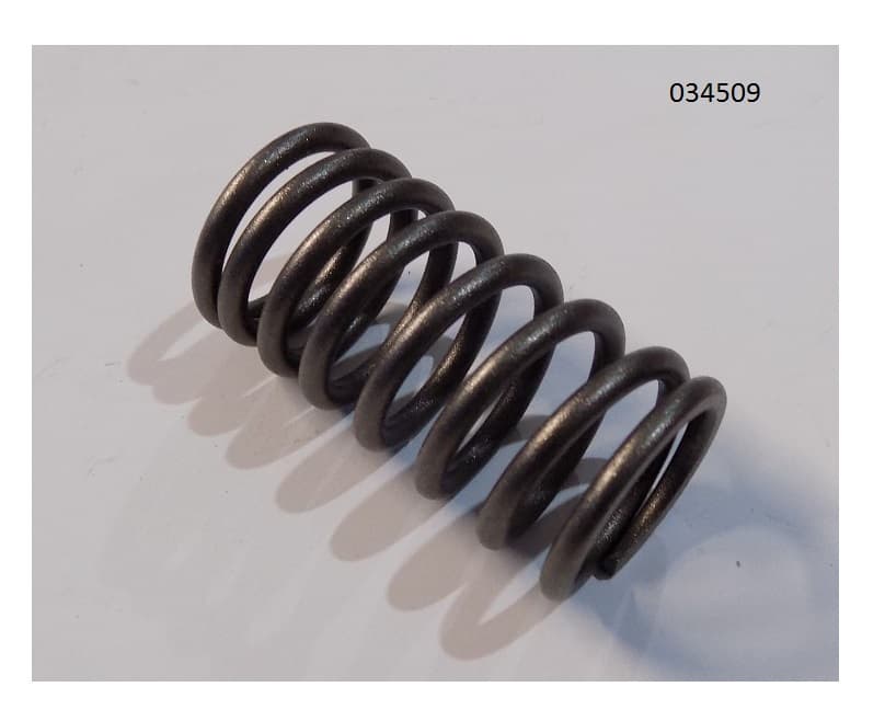 Пружина клапана внутренняя WP4.1D80E200/Inner Valve Spring (2010325)