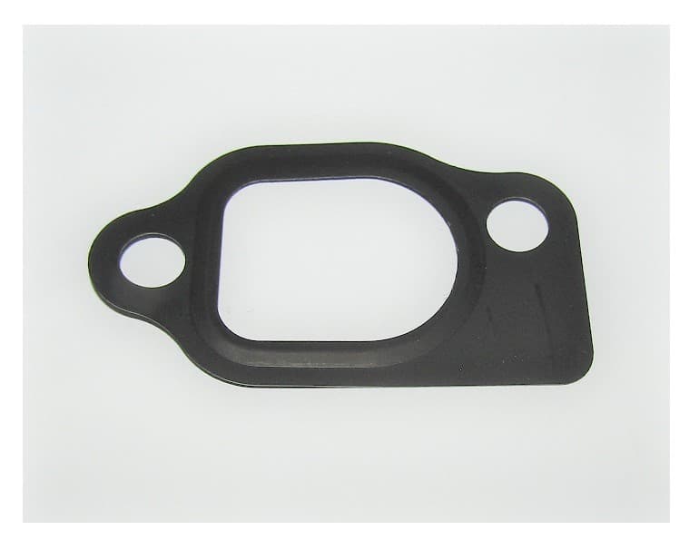 Прокладка впускного коллектора и карбюратора SGG 10000(..),2V78F-2 Lf / Inlet gasket (12254)