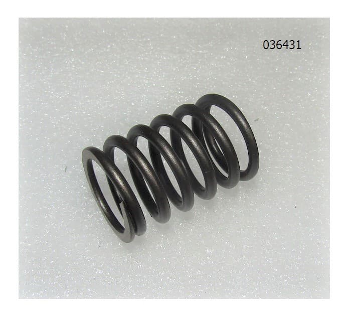 Пружина клапана SGG 10000Ei,SV460 до 08.2024 Sc / Valve spring (34015-00004-00)