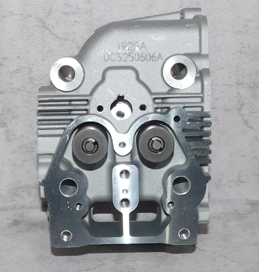 Головка блока цилиндра SDG 6500EHA,CP192FE (в сборе - клапаны,пружины) Cm / Cylinder head assy (20021-00160-00)