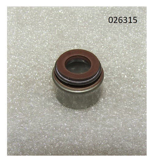 Колпачок маслосъёмный R2V870X / Valve guide oil seal 7*11*10F(WS2V88-02030)