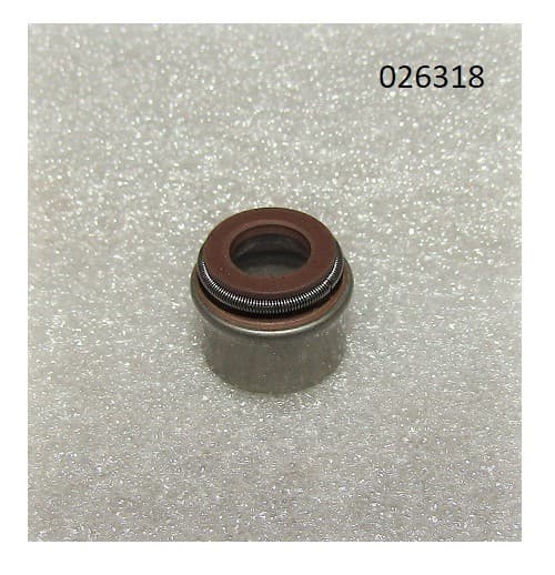Колпачок маслосъёмный R2V910X / Valve guide oil seal (WS2V88-02030)