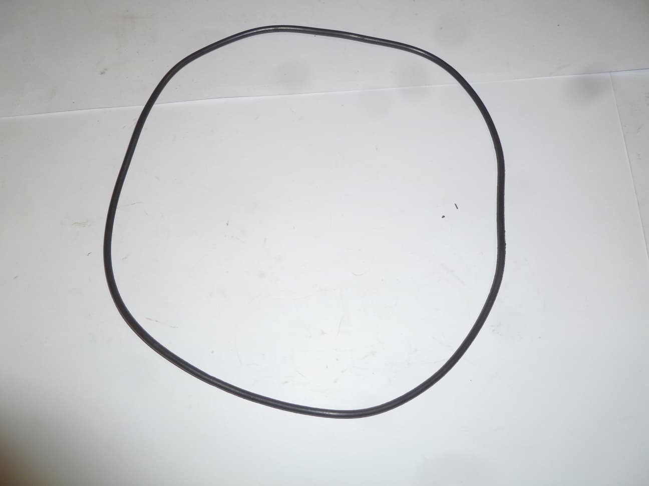 Кольцо уплотнительное PGS100/O-ring seal