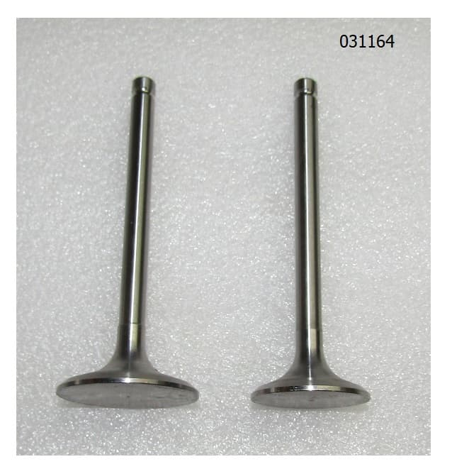 Комплект клапанов (впускной и выпускной,2 шт) TDL16-36 4L/Valve kit