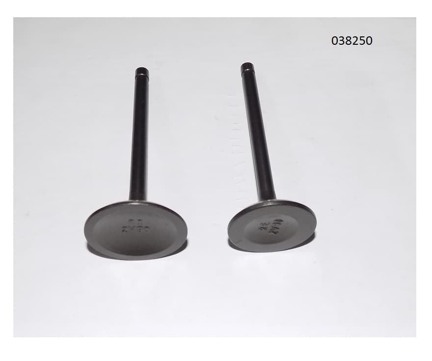 Клапан впуск+выпуск SGG 16000(.L.)-18000(.L.),LC2V90FD (К-т 2шт.) Lc / Valve Kit (500550082-0001)