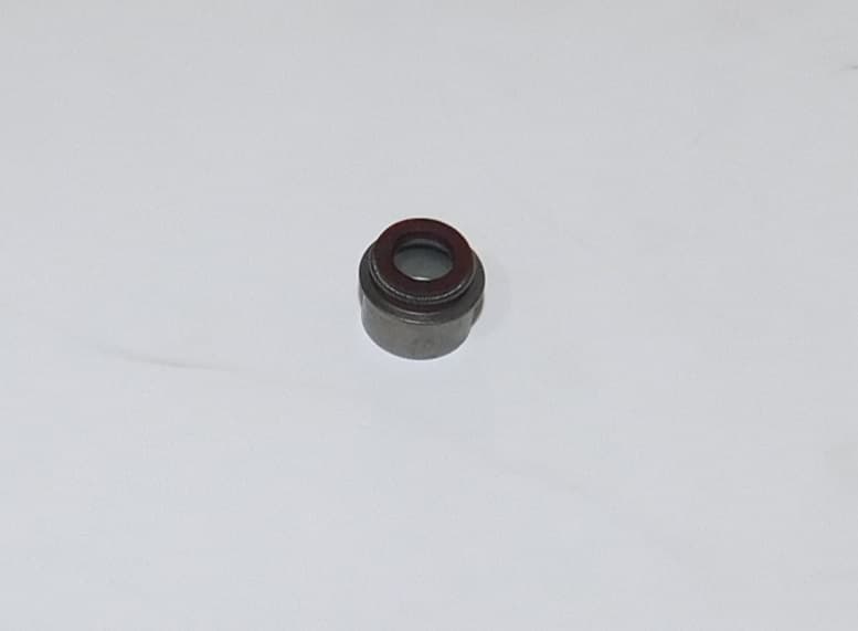 Колпачок маслосъемный SDG 11000(..),CD2V88F Sh / Valve oil seal