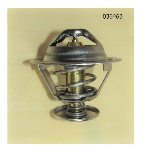 Термостат TDK-N 110 4LT (T=70C) /Thermostat subassembly T15532-82